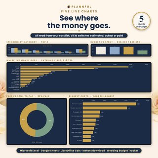 The five live charts on the Budget tab: spending by category, budget vs spent, where the money goes (Catering first, $13,730), paid vs still to pay (52% paid) and the 10 biggest costs.