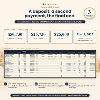 Payment Plan tab: a deposit, a second payment and a final payment per cost, each with a due date and a PAID? tick; cards show $50,730 planned, $25,730 paid, $25,000 still to pay and the next payment on Mar 5, 2027.