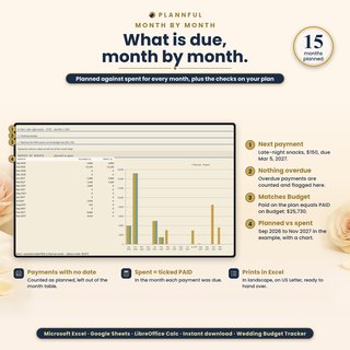 Month by month on the Payment Plan tab: planned against spent for each month with a chart, plus the checks: next payment, nothing overdue, and paid matching the Budget tab.